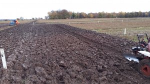 George ploughing.jpg