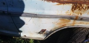 20191105_102653.jpg