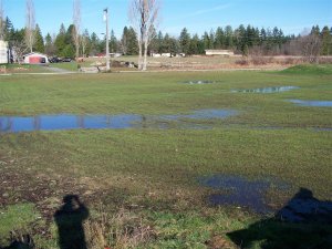 100_2314 (Medium).JPG