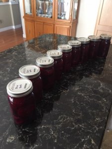 beet2.jpg