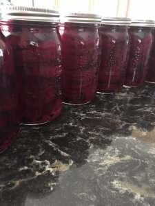 beet1.jpg