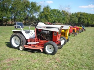 Toro 1.jpg