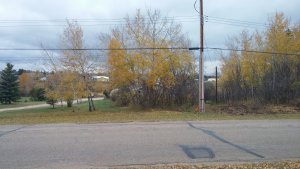 20171011_173249.jpg