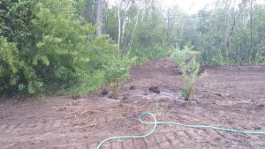 20180714_124411.jpg