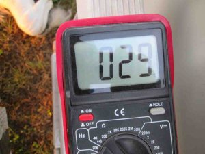 IMG_2989.jpg