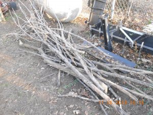 DSCN4956.JPG