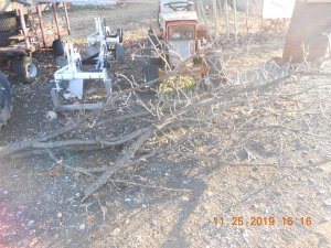 DSCN4957.JPG