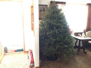 43ABD563-2193-4DA5-8B3F-DB93260A01C3.jpeg