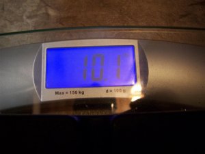 100_2490 (Medium).JPG