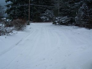 100_2530 (Medium).JPG