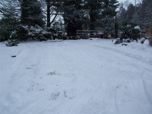 100_2532 (Medium).JPG