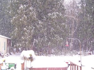 100_2547 (Medium).JPG