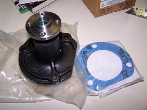 100_2730 (Medium).JPG