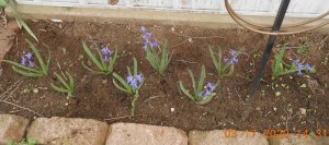 DSCN5081.JPG