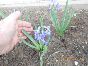DSCN5082.JPG