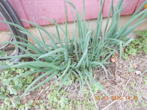 DSCN5083.JPG