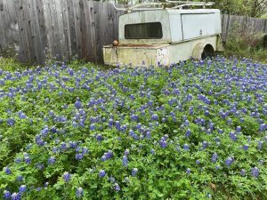 IMG_0030.jpg
