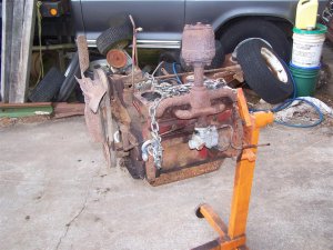100_2847 (Medium).JPG