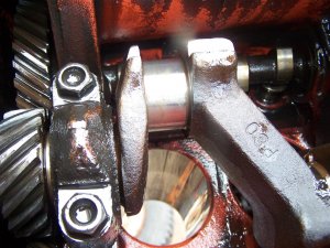 100_2849 (Medium).JPG