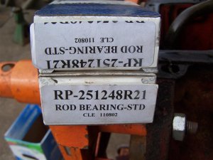 100_2862 (Medium).JPG