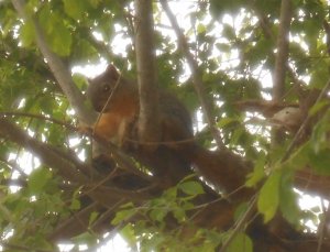 DSCN5101.JPG