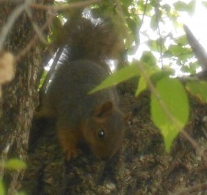 DSCN5103.JPG