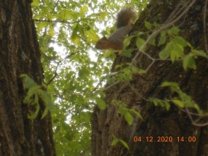 DSCN5108.JPG
