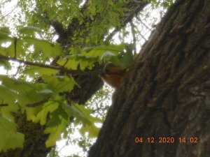DSCN5110.JPG