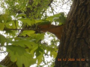 DSCN5111.JPG