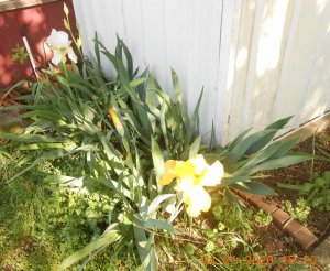 DSCN5113.JPG