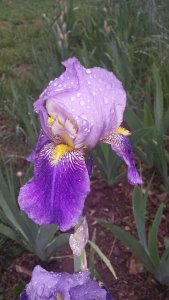 20200523_080425.jpg