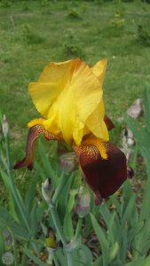 20200524_101847.jpg