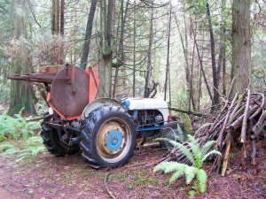 100_4297 (Medium).JPG