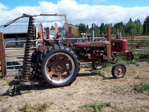 100_3121 (Medium).JPG