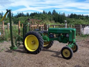 100_1035 (Medium).JPG
