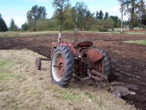 100_2078 (Medium).JPG
