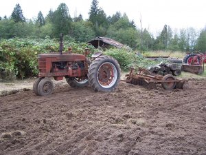 100_2096 (Medium).JPG