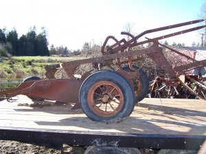 100_1317 (Medium).JPG