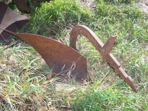 100_2041 (Medium).JPG