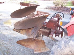 100_3025 (Medium).JPG