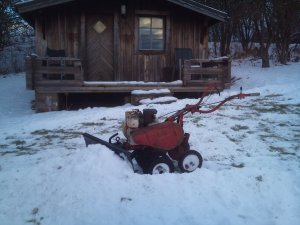 Snow bother.jpg