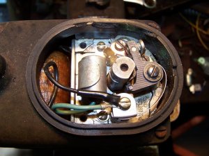 100_9666 (Medium).JPG
