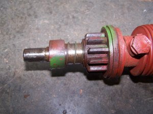 100_9675 (Medium).JPG