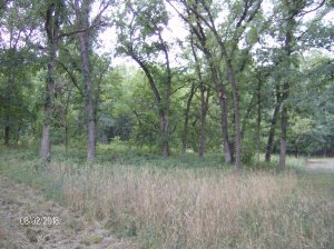 Farm 2018 049.JPG