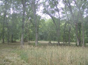 Farm 2018 051.JPG
