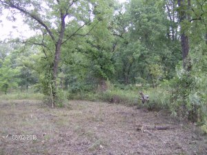 Farm 2018 050.JPG