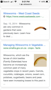 F5A2C1F8-F7D2-4A56-852B-F0AEA35DA9CA.png