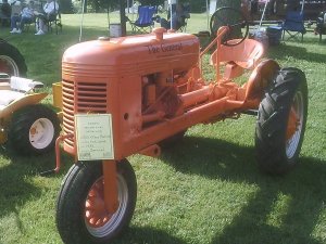 SUNP0220.JPG