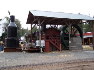 100_9758 (Small).JPG