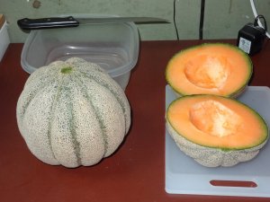 1st melon 001.JPG